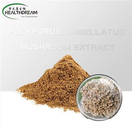 Ekstrakt grzybowy Polyporus umbellatus