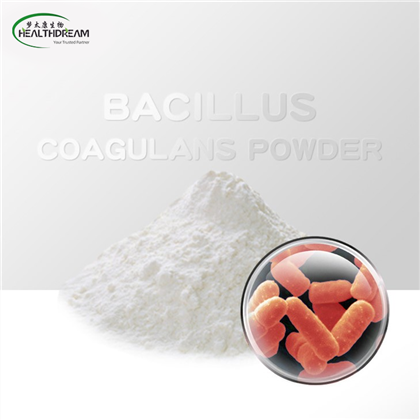 Bacillus Coagulans Powder